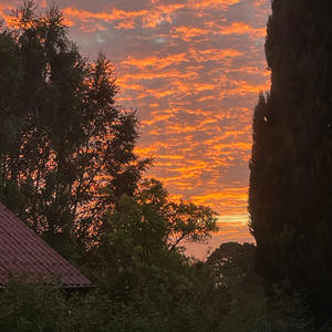 asshole. (Demo|Explicit)