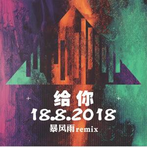 给你 (暴风雨REMIX)