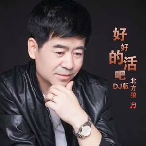 好好的活吧 (DJ版)