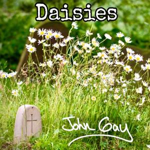 Daisies