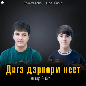 Дига даркорм нест