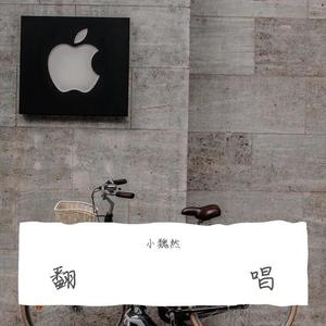 桃花朵朵开（吉他）封面