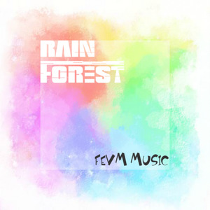 群星-Rain forest (Alan FEVM/kaokao Remix)