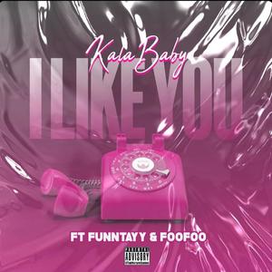 I Like You (feat. FunnTayy & FooFoo) [Explicit]