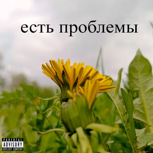 Есть проблемы (Explicit)