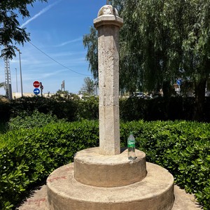 VCT - tlj (Explicit)