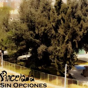 Sin Opciones (Pincelada Demo)