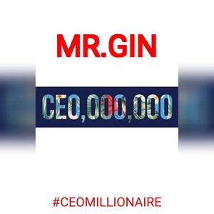 Ceo Millionaire