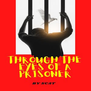 Through the eyes of a prisoner (Radio Edit)