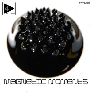 Magnetic Moments