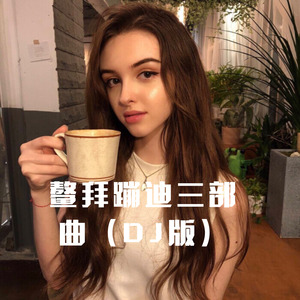 鳌拜蹦迪三部曲 (Remix)