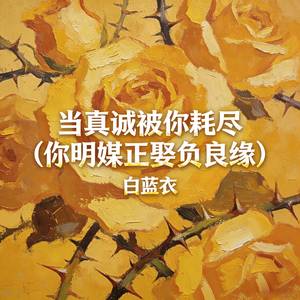 当真诚被你耗尽 (你明媒正娶负良缘)