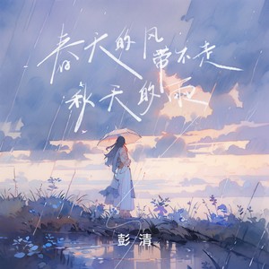 春天的风带不走秋天的雨 (DJ九零版)