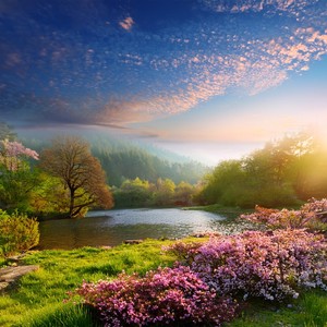 Every Pause Is Its Own Song