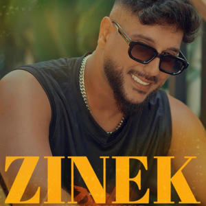 ZINEK