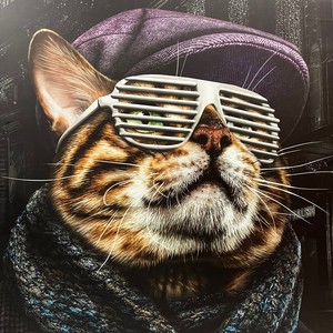 Глазам не верю