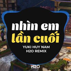 Nhìn Em Lần Cuối (Remix)