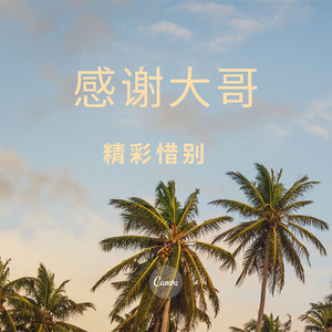 感谢大哥