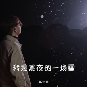 我是黑夜的一场雪