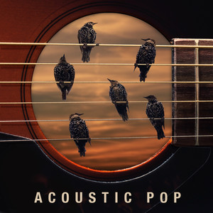 Acoustic Pop