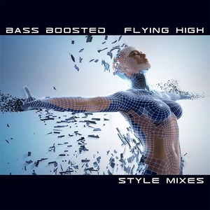 Flying High (Style Mixes)