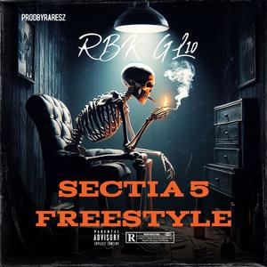 Sectia 5 Freestyle (feat. GL10 & raresz) [Explicit]