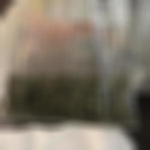 FlurrySpazzer (Explicit)