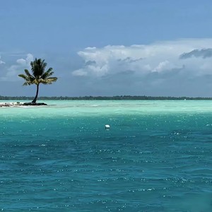 DJ小涛 - 地铁摇