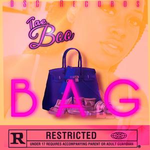 Bag (feat. Slikk Wayne) (Explicit)