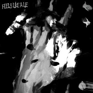 FEELS LIKE A LIE (feat. hykami)