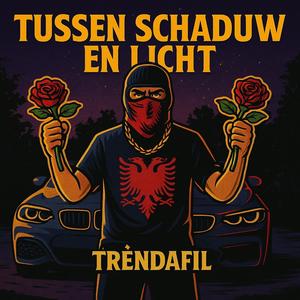 Tussen Schaduw en Licht (Trëndafil)