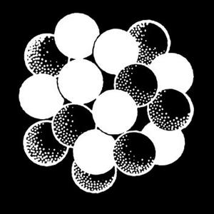 The Most High feat. Kashmere