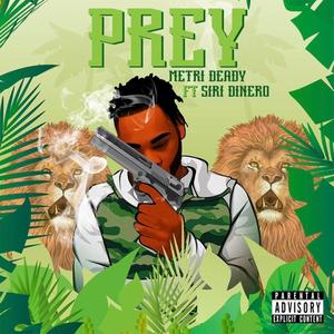 Prey (feat. Siri Dinero) [Explicit]