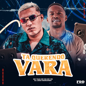 Ta Querendo Vara (Explicit)