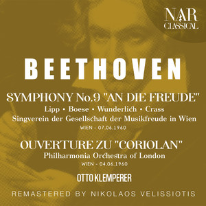 Symphony No. 9 in D Minor, Op. 125, ILB 280 - IV. Presto - Allegro assai - Allegro molto assai (Alla marcia) - Andante maestoso - Adagio ma non troppo, ma divoto - Allegro energico, sempre ben marcato - Allegro ma non tanto - Pressitissmo