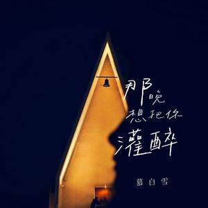 那晚想把你灌醉