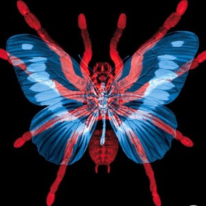 I'm Going To Do Me (feat. BertottyB) (Explicit)