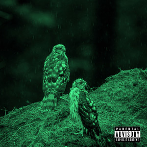 2 Birds 1 Stone (Explicit)