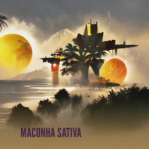 Maconha Sativa