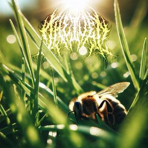 In Motion (feat. Dan Ward)