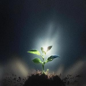 Not Yet (feat. Nathan & Chapss) (Explicit)