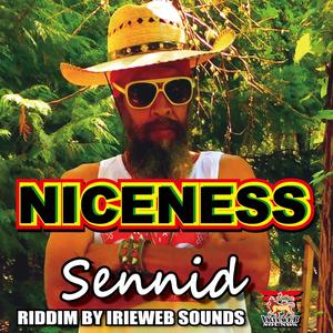 NICENESS