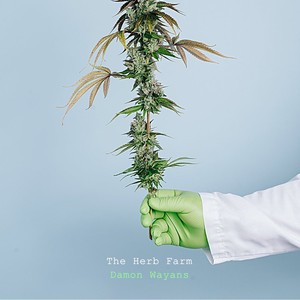 The Herb Farm