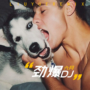 六月 - 夜色摇 (Remix)