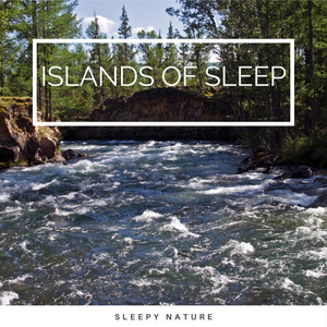 Pure Sleep of Forest Tunes pt. 7(feat. Nature Calm, Elements of Nature & Nature  Rainforest Sounds Collective)