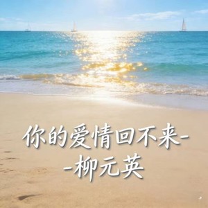 你的爱情回不来封面