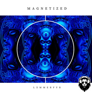 Magnetized (Original Mix)