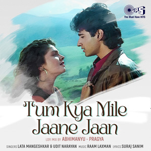 Tum Kya Mile Jaane Jaan (Lofi Mix)