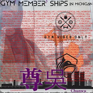 Gym Member Ships in Michigan