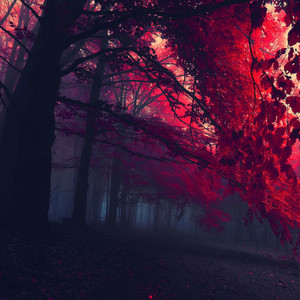 只有我一个人觉得